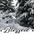 Therese Minder-Almanza's profile image