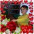 Lisa Faye Duell's profile image