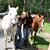 Jolene Redling's profile image