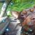 Gary Campbell's profile image