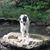 Debra Parks Martin's profile image