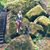 Alicia Dentone's profile image