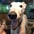 Faith MacKenzie Boock's profile image