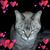 Michael S. Blakey's profile image