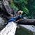 Lauren Satterfield's profile image