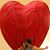Blake Jackson's profile image