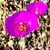 Barbara Easterbrook's profile image