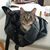 Kelly Gensinger Macias's profile image