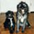 Jack N Jo Berry's profile image