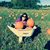 Marcy Hamilton-LaRocco's profile image