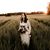 Saige Johnson's profile image