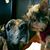 Cheryl Taylor's profile image