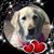 Julie Reinhart Bernhardt's profile image
