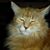 Kathleen Wright's profile image