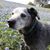 Monika Biddle Wilson's profile image