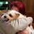 Tami Adkins-Coan's profile image