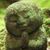 Carolyn McLeod Atkinson's profile image
