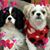 Lisa Marie's profile image