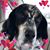 Susan Munson's profile image