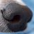 Steve Lafond's profile image