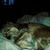 Paul Rew's profile image