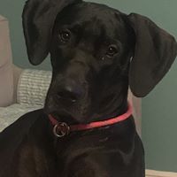 Linda J. Fruth's profile image