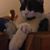 Amy Slutter's profile image