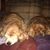 Linda Ulak's profile image