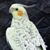 Debby GreenMitchel's profile image