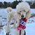 Valerie Fredericks's profile image