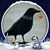 Gina Grey's profile image