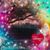 Lynne Rogers's profile image