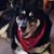 Wendie Johnson's profile image