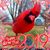 Dawn Dennis's profile image