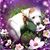 Analey Garcia's profile image
