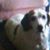 Marcia Teel's profile image