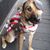 Bobby Marshall's profile image