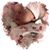 Crystal Nuttall's profile image