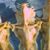 Jim Gouwens's profile image