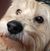 Jodi Atchison's profile image