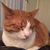 Michael Soller's profile image