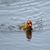 Shirley Keeton's profile image