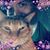 Aly Litz's profile image