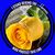 Penny Pierce Johnson's profile image