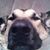 Darren Hosick's profile image