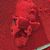 Clint Newton's profile image