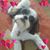 Helen Salgado's profile image
