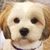 Kimberly Kasick Zupon's profile image