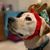 Stacia Lynch's profile image