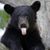 Jason Hiney's profile image